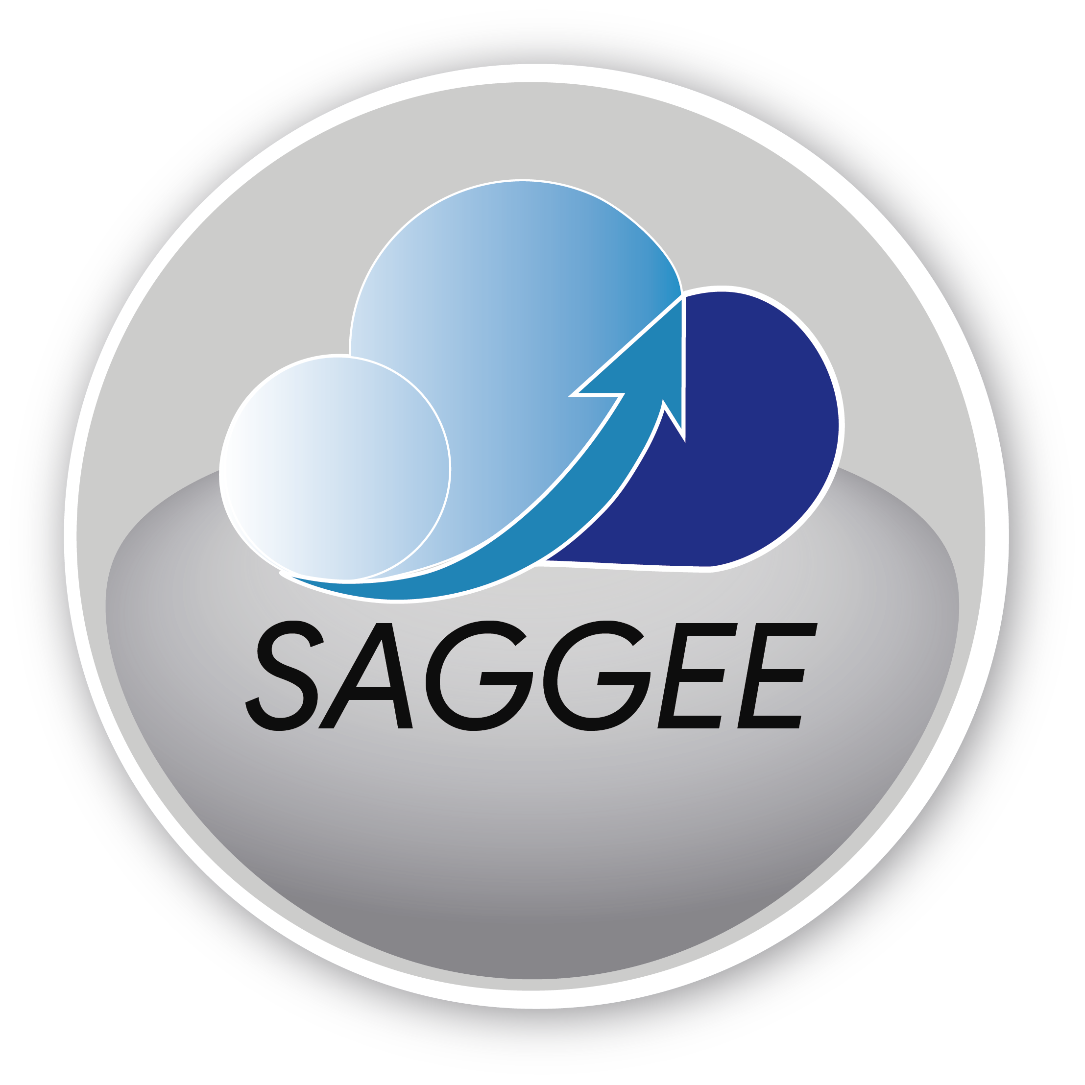 Logo SAGGEE